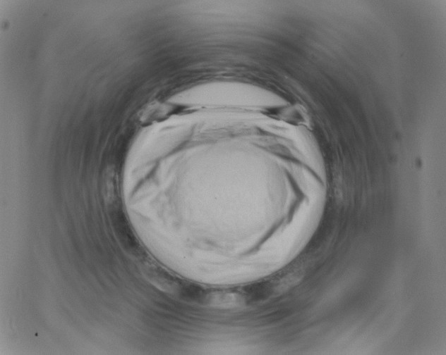 X0000062910169200602101841