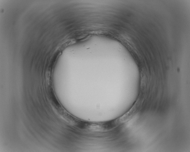 X0000062910171200602101841