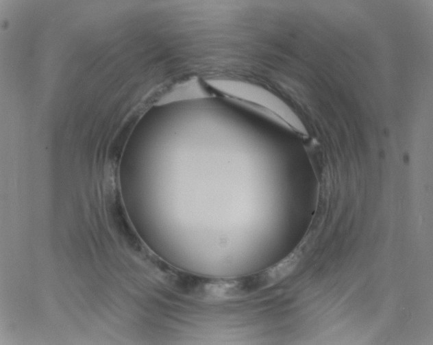 X0000062910172200602101841