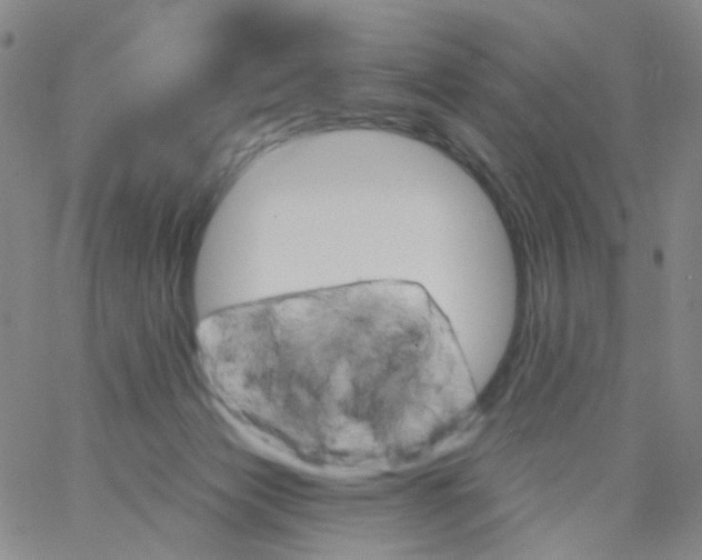 X0000062910173200602101841