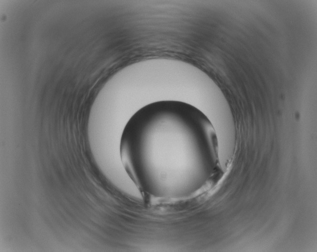 X0000062910174200602101841