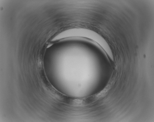 X0000062910176200602101841