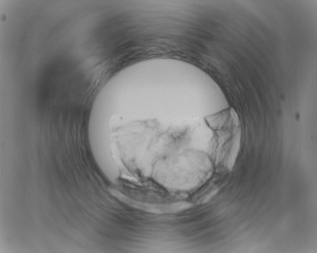 X0000062910177200602101841