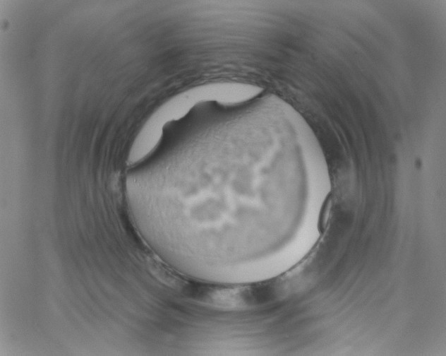 X0000062910178200602101841