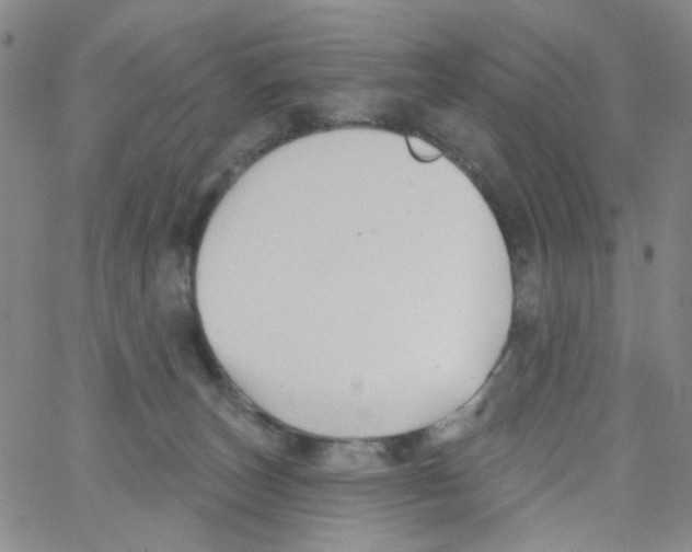 X0000062910179200602101841