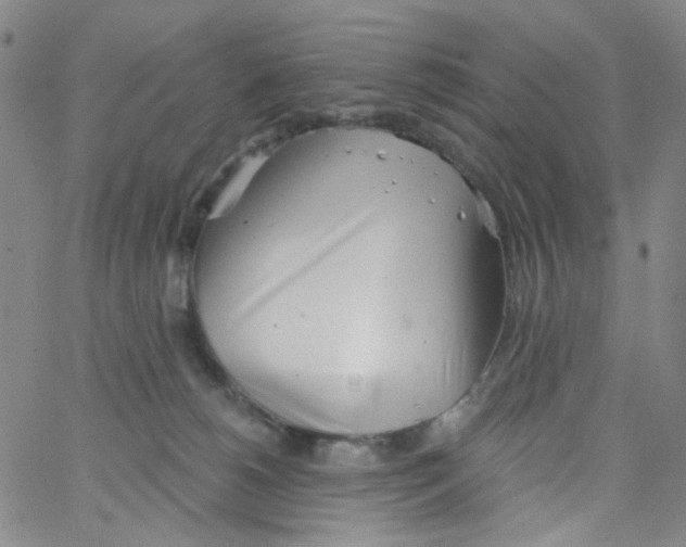 X0000062910180200602101841