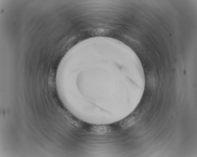 X0000062910181200602101841