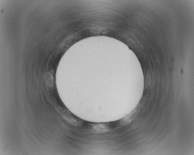 X0000062910183200602101841