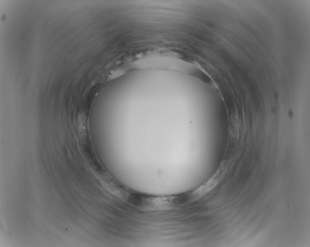 X0000062910184200602101841