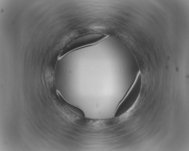 X0000062910186200602101841