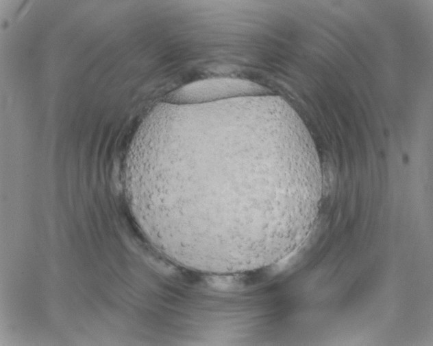 X0000062910187200602101841