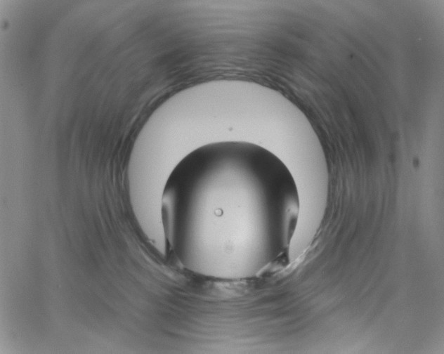 X0000062910188200602101841