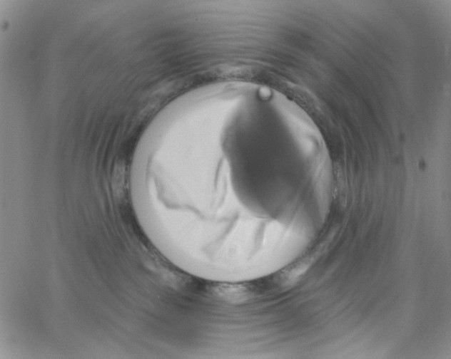 X0000062910189200602101841