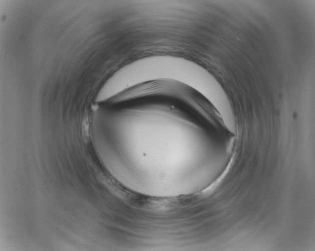 X0000062910190200602101841