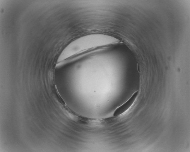 X0000062910192200602101841