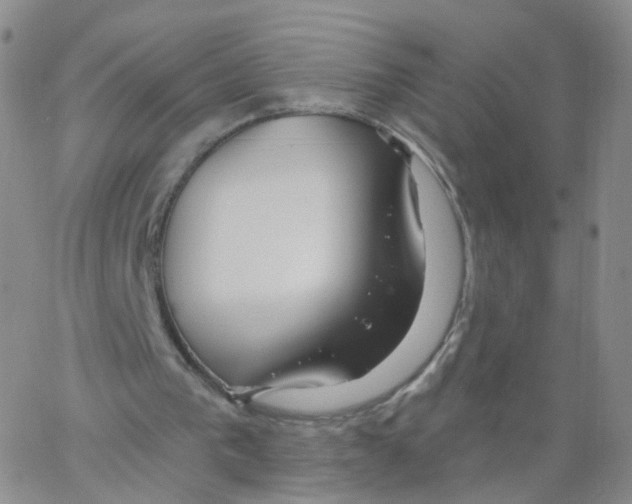 X0000062910193200602101840