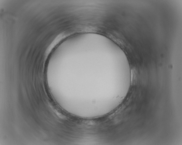 X0000062910195200602101840