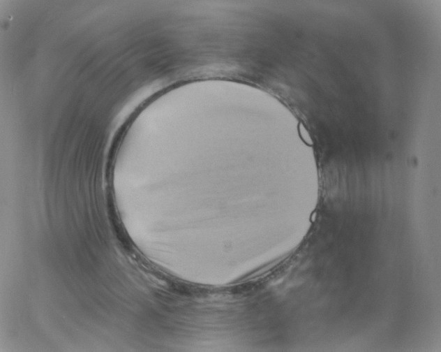 X0000062910196200602101840