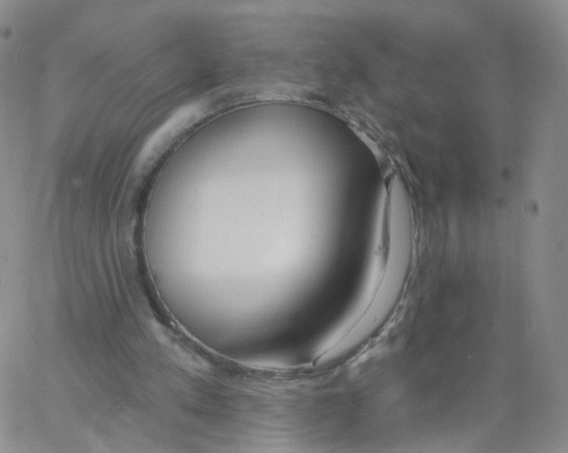 X0000062910197200602101840