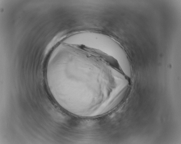 X0000062910198200602101840