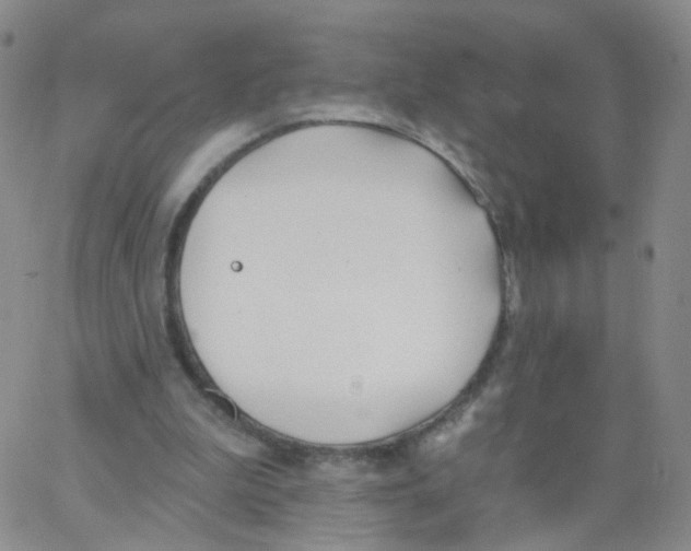 X0000062910199200602101840