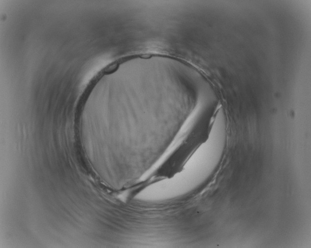 X0000062910200200602101840