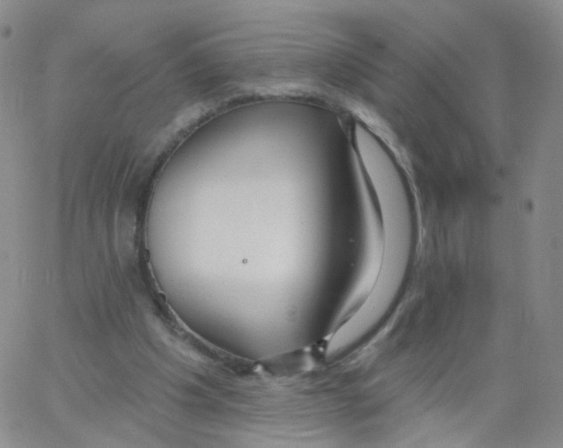 X0000062910201200602101840