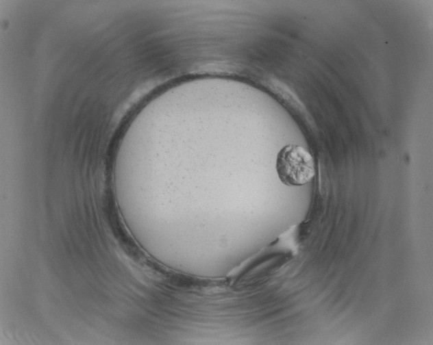 X0000062910204200602101840