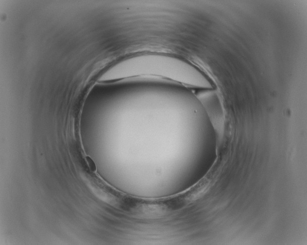 X0000062910205200602101840