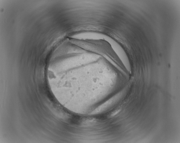 X0000062910206200602101840