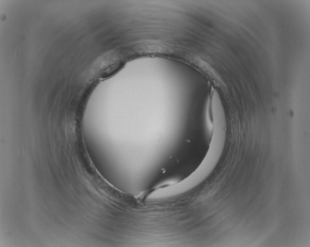 X0000062910207200602101840