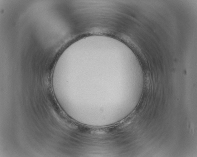 X0000062910208200602101840