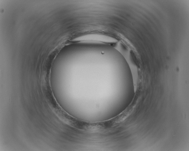 X0000062910209200602101840