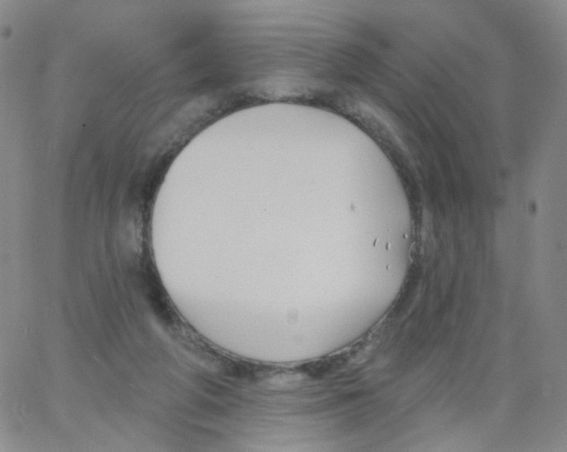 X0000062910210200602101840