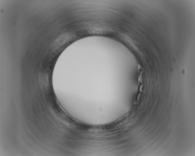 X0000062910211200602101840