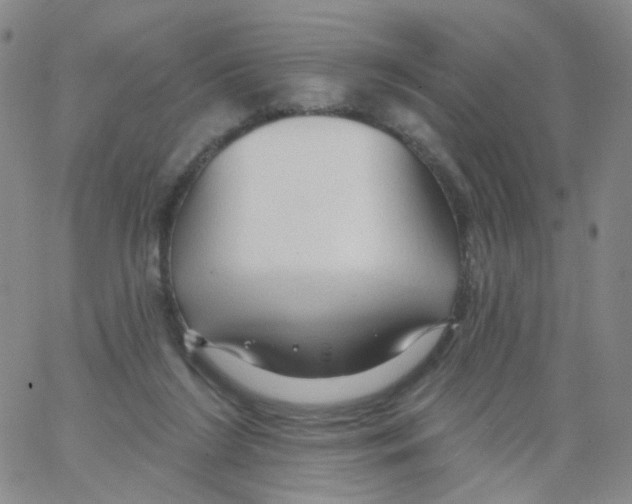 X0000062910212200602101840