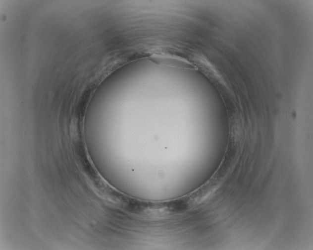 X0000062910213200602101840