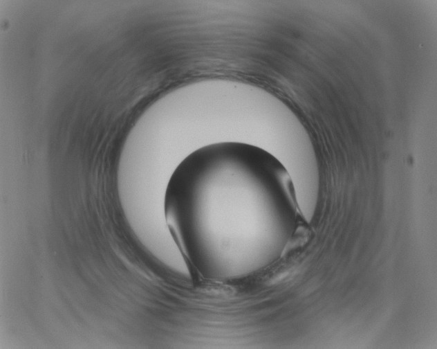 X0000062910215200602101840