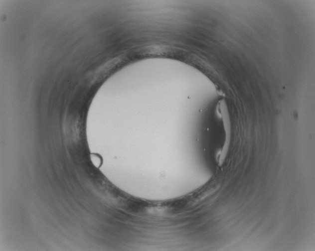 X0000062910216200602101840