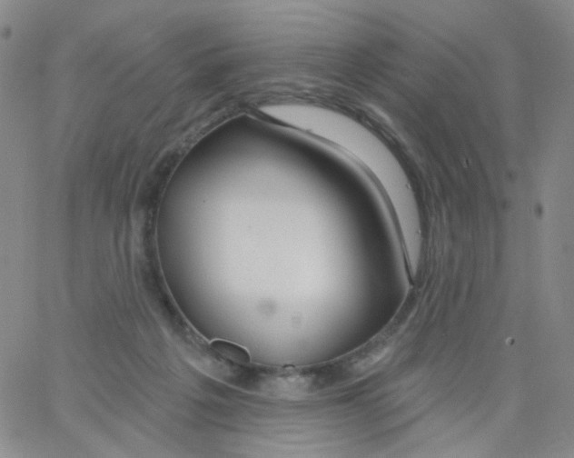 X0000062910217200602101840