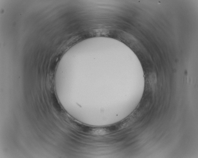 X0000062910218200602101840