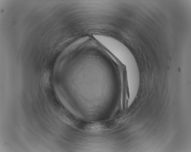 X0000062910219200602101840