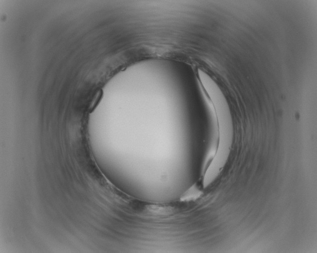 X0000062910221200602101840