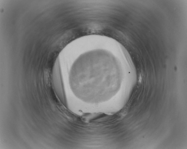 X0000062910222200602101840