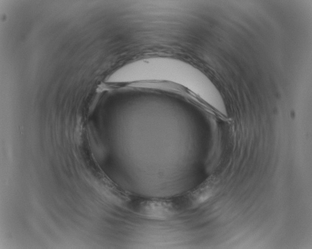 X0000062910223200602101840