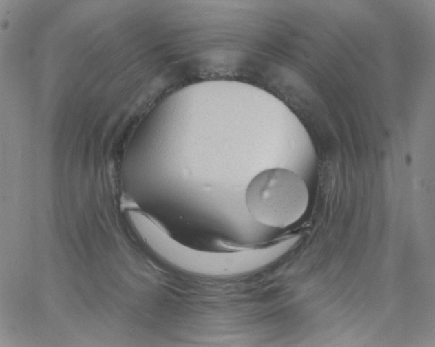 X0000062910224200602101840