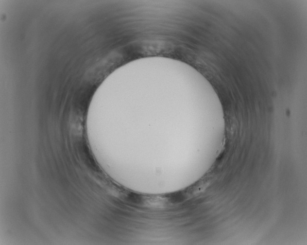 X0000062910226200602101840