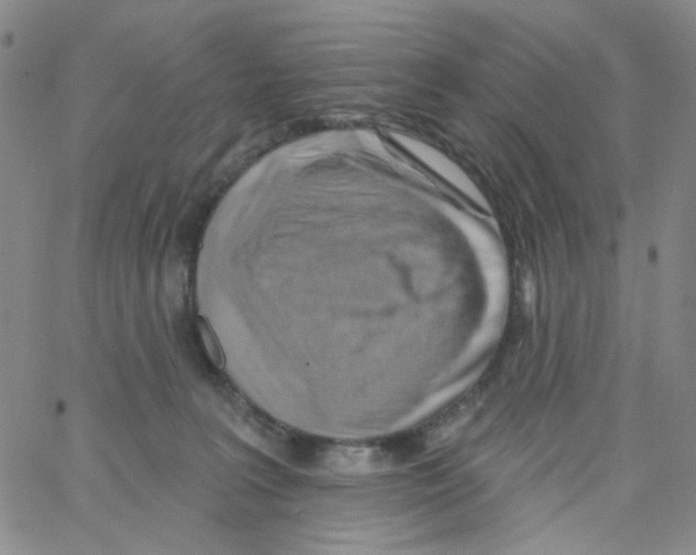 X0000062910227200602101840