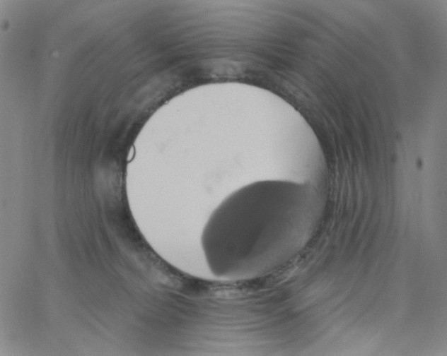 X0000062910228200602101840