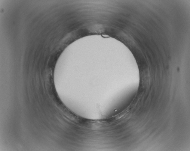 X0000062910229200602101840